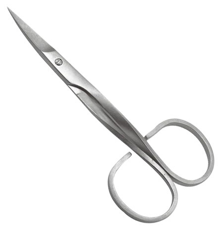 Common Scissors