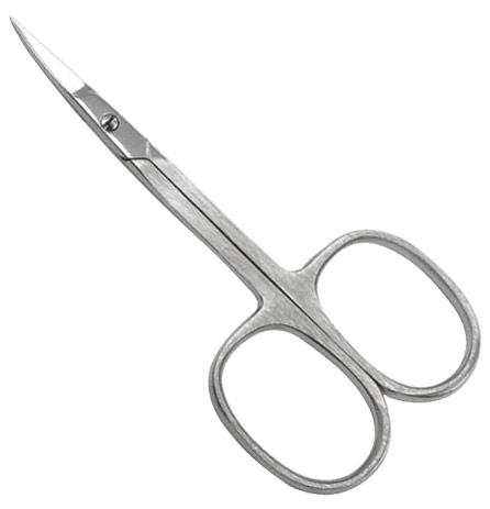 Common Scissors