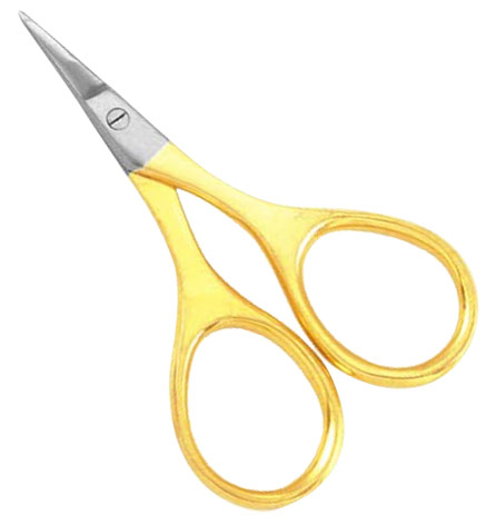 Common Scissors