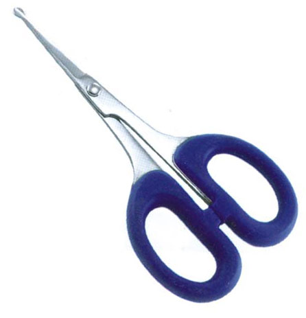 Common Scissors