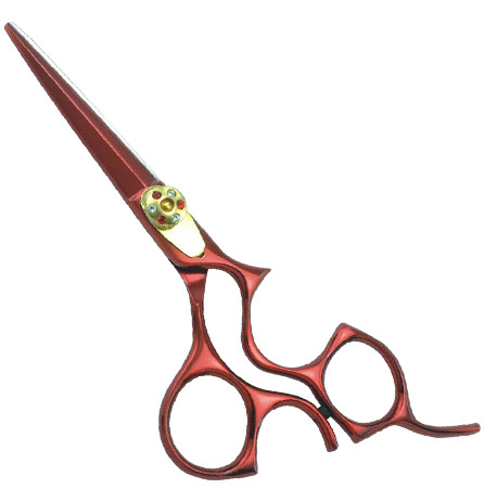 Color Coated Shears