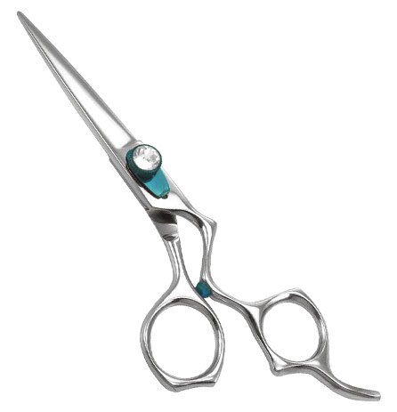 Razor Eadge Shears